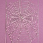 Mask Spinneweb
