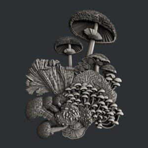 Mushroom bloom set 2
